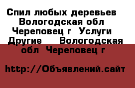 Спил любых деревьев - Вологодская обл., Череповец г. Услуги » Другие   . Вологодская обл.,Череповец г.